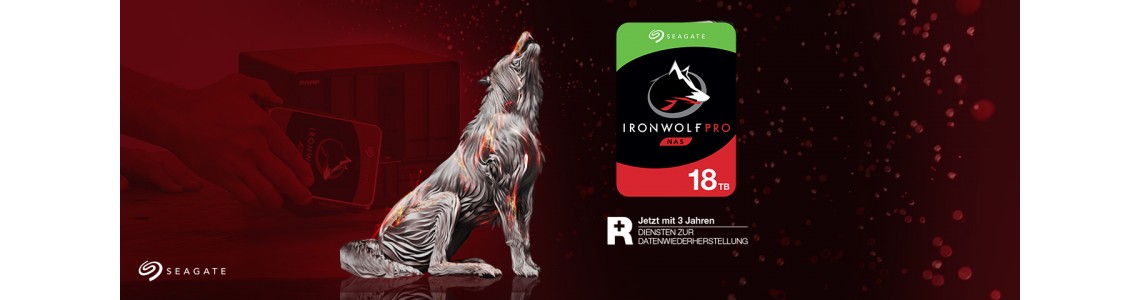 Seagate Seagate